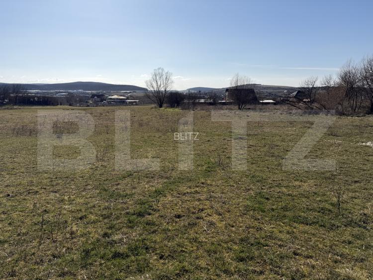 Teren intravilan in localitatea Hereclean in suprafata de 5800 mp - 3