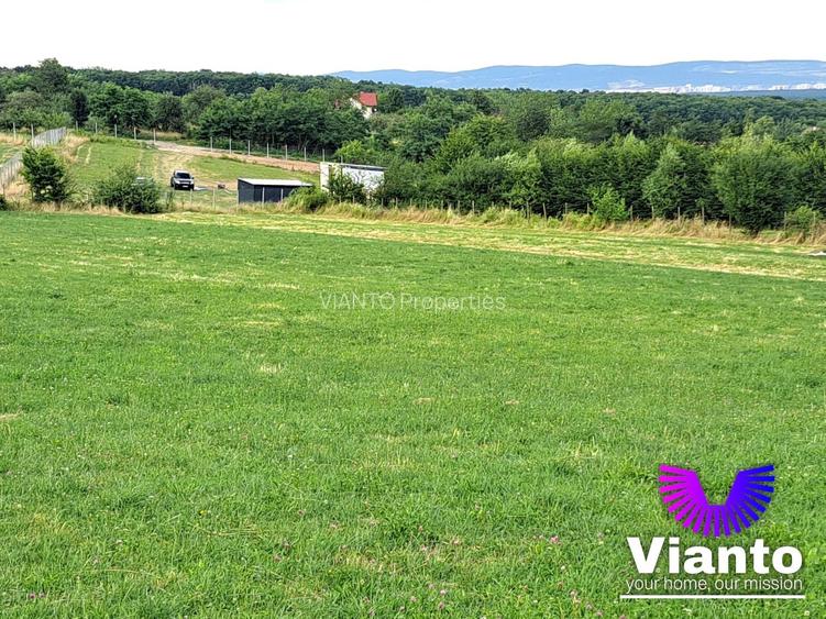 Oportunitate-Teren Extravilan 6200 mp cu vedere Panoramica-Tropinii Noi-Rasinari - 3