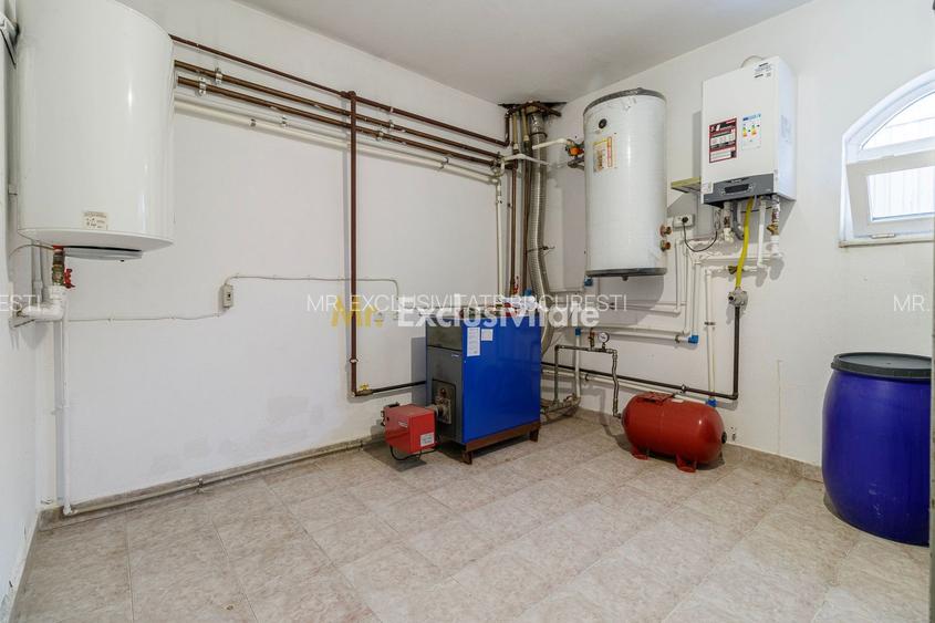 Domeniu privat 5.000 mp, cu reședință de 625 mp și piscină, Corbeanca - 27