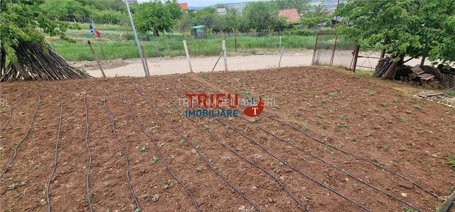 Teren de vanzare zona Micesti - 5