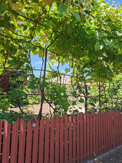 Casă de vânzare în Lungulețu, județul Dâmbovița – 59.000 €