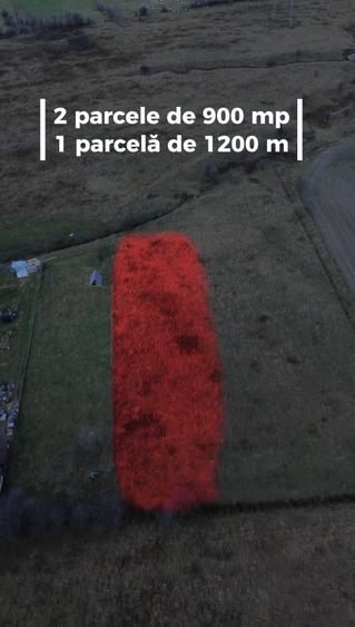 Teren Bran Zarnesti 3 km Castelul Bran 25 km Brasov