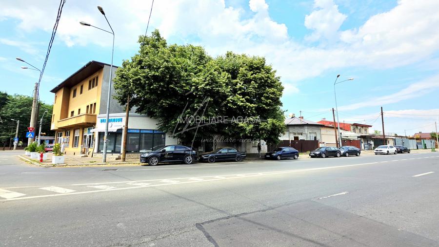 Pieptanari 100. Casele din umbra teilor. Rezidential sau comercial? - 2