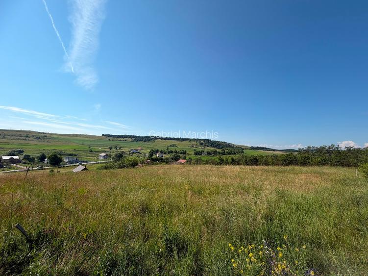 Teren intravilan 3.834 mp Babutiu | Panorama superba mai putin de 20 km de Cluj - 7
