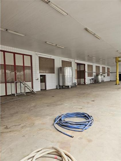 Proprietate Industriala - Productie - Industrie Alimentara
