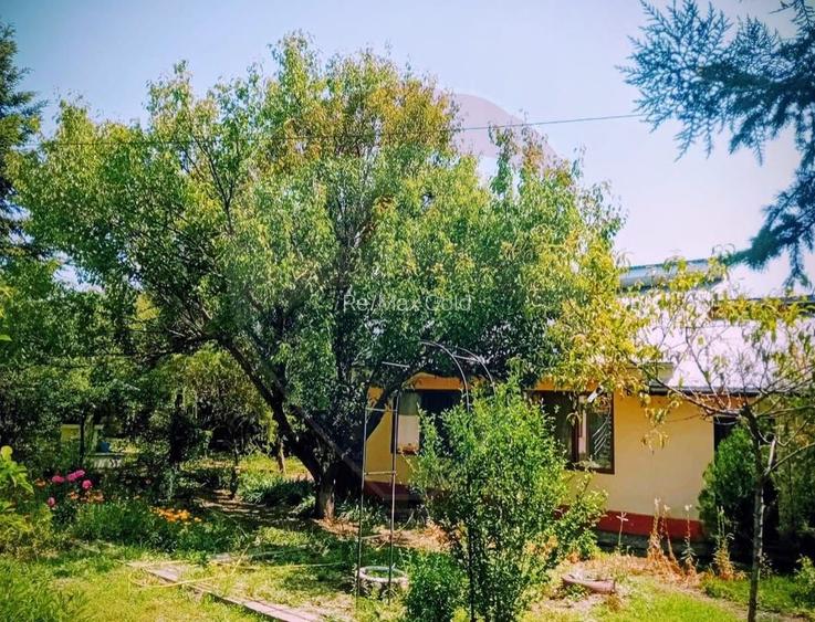 Casă P+M + cladire anexă + teren 1129 mp - 2