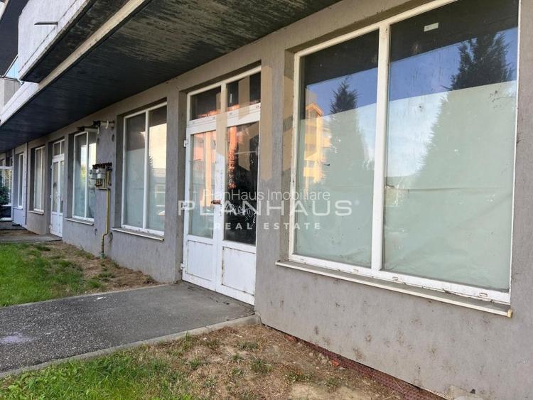 Spatiu comercial V.Alecsandri ,120 mp ,ideal activitati comerciale /cabinete - 4