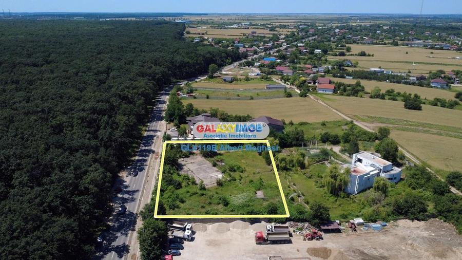 Vanzare teren intravilan 5000 mp Snagov Ciofliceni - 12