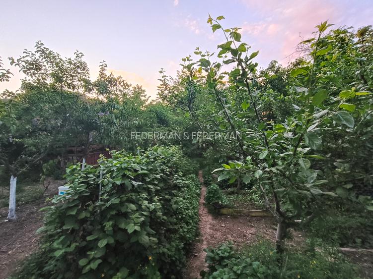 Apartament Elisabetin - 20