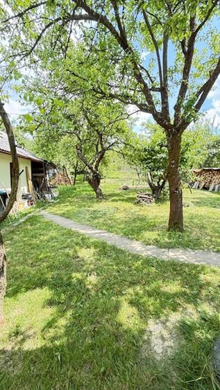 BAIA SPRIE - spre Cavnic Vila D+P+E 168mp + anexa cu teren 1526mp!