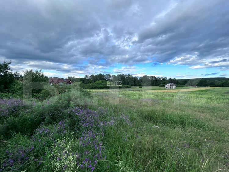 Teren intravilan, 5000 mp, Barsesti - 2