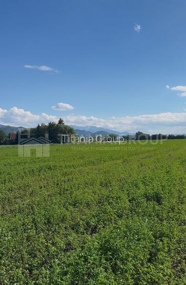 Teren intravilan 3h, Stupini -Str. Oitelor, asfalt si utilitati la 70 m - 11