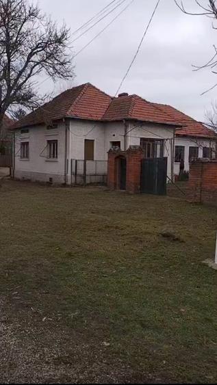Casa solida locuibila 5 camere 3000 mp teren aferent Budint-Central