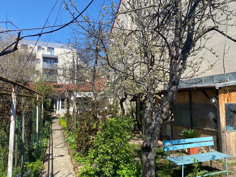 Casa cu gradina, Colentina