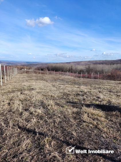 Teren intravilan, cu potential mare
