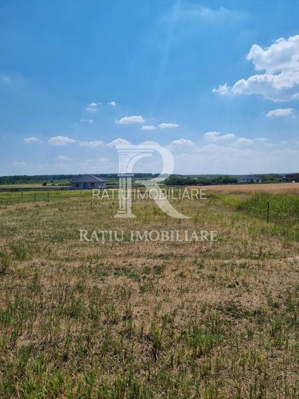 Teren intravilan | Cihei | Bihor - 5