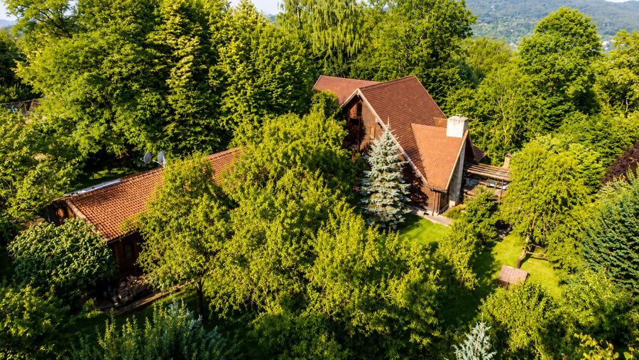 Mountain Chalet | Private Resort | Investment - Nistoresti