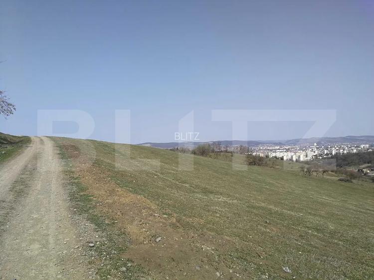 Teren intravilan, 15.904 mp, zona Dambu - 3