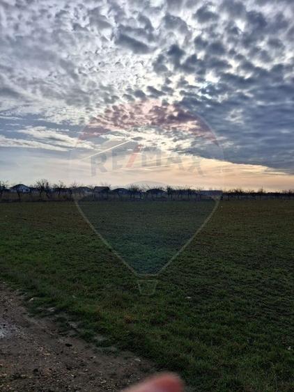 Teren 5,700mp Santion / None