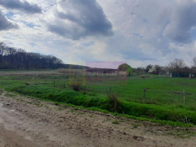 DE VANZARE TEREN 3400 MP IN SAT PODU ILFOVAT / COM BUTURUGENI (GR)
