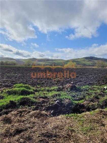 Teren de vanzare 2 parcele total 18.000m²/50€ m² Gherla !