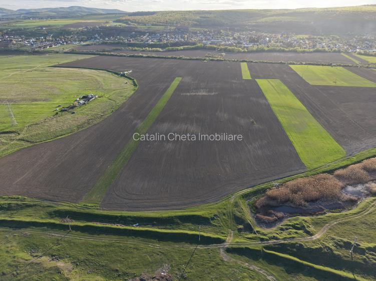 Teren de vanzare langa Bacau – 11.016 mp in Hemeius, pretabil pentru investitie - 4