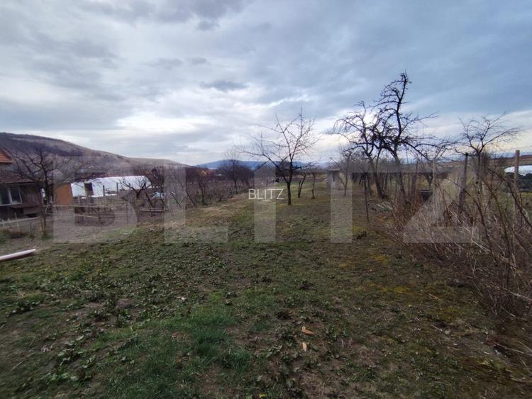 Casa individuala, 5 camere, 350 mp, zona Sard - 4
