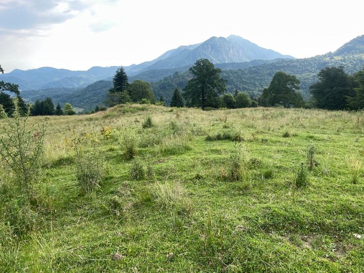Teren intravilan dezvoltare turistica Hoteluri/Pensiuni S+P+2E+M