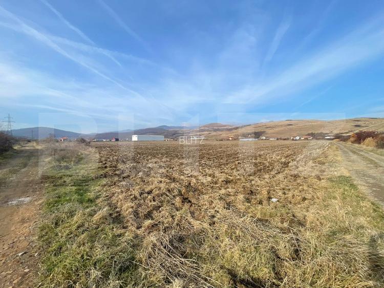 Teren Intravilan Sard, 13100mp - 3