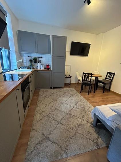 APARTAMENT 2 CAMERE OPENSPACE PARCUL CAROL - TINERETULUI