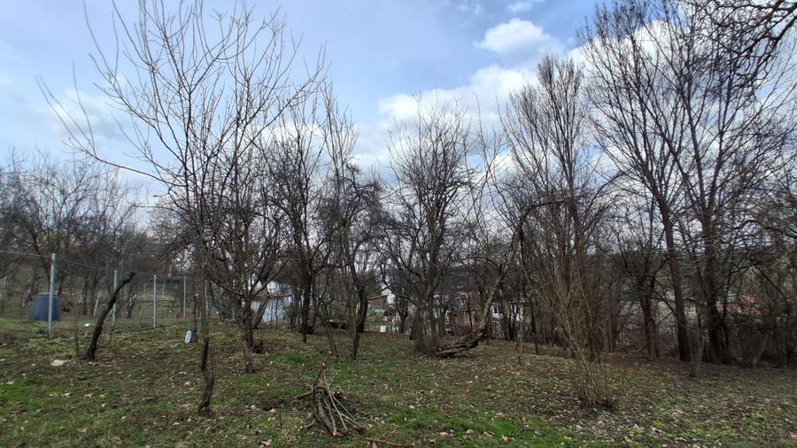 Casă cu teren generos de vânzare în Poiana Câmpina