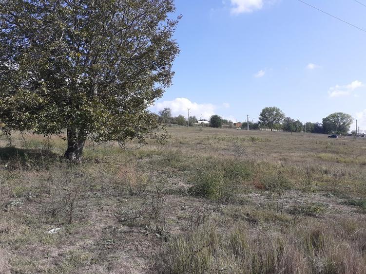 OCAZIE:Teren intravilan Tulcea-19euro/m.p.