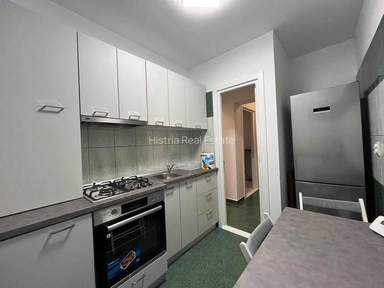 DELFINARIU 2 CAMERE RENOVAT PARTER CU BALCON 470 EURO TERMEN LUNG