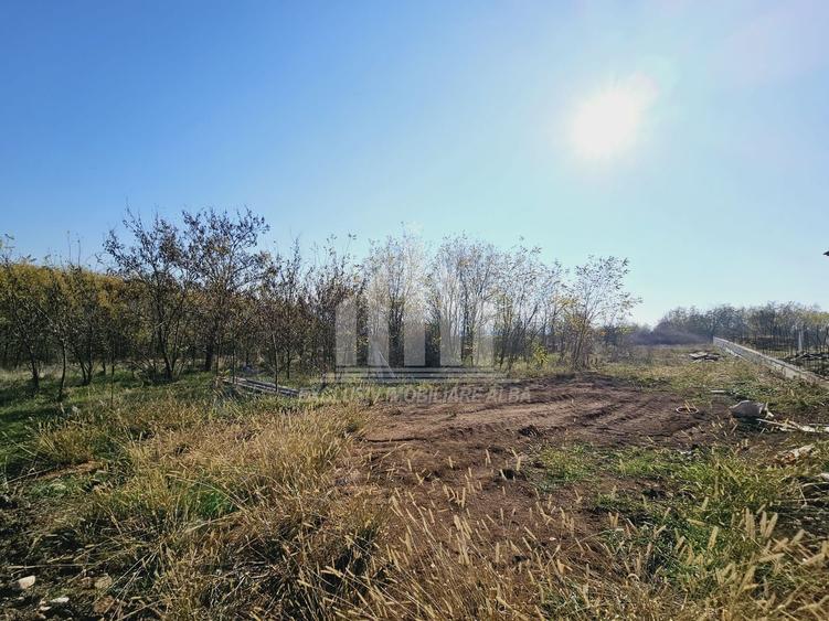 Teren intravilan | 1001 mp | 17 ml deschidere | Podei