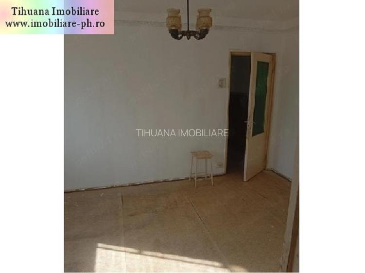 Apartament 3 camere de vanzare : Malu Rosu - 3