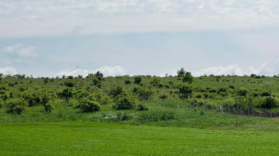 Teren Extravilan de Vanzare, zona Episcopia, Oradea, judetul Bihor