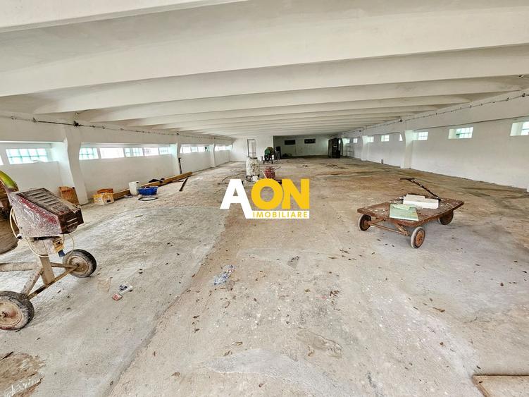 Spatiu industrial pentru depozitare, 370 mp, la asfalt, zona centrala