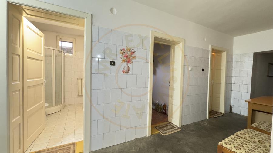 Casa 7 camere cu Teren 4.620 mp | Potential pentru rezidenta sau afacere | Carei