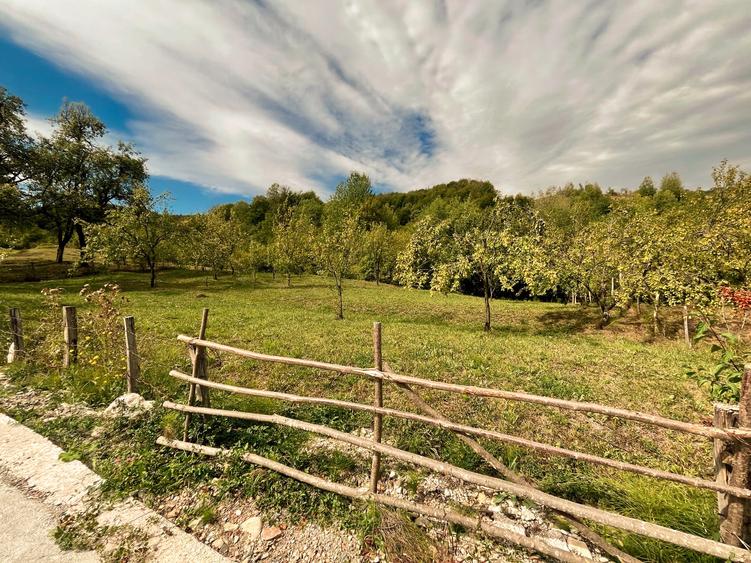 Teren 9.800 mp – Investiție ideală în mijlocul naturii | 10€/mp - Comision 0%