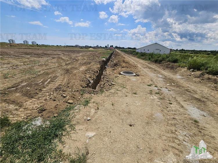 TEREN INTRAVILAN 50000 MP AGIGEA ZONA RO RO