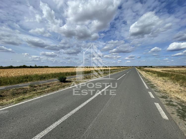 Teren 55.000 mp, front stradal 354 ml, asfalt, Remetea Mare -Ianova. - 2