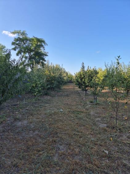 Casă de vânzare în comuna Făcăeni, județul Ialomița – teren 2600 mp, casă nouă,