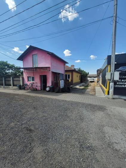 Lehliu gara casa