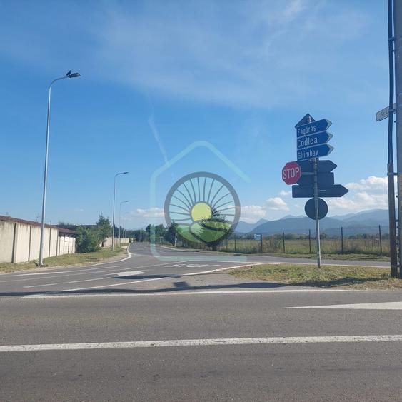 TEREN STUPINI BRASOV