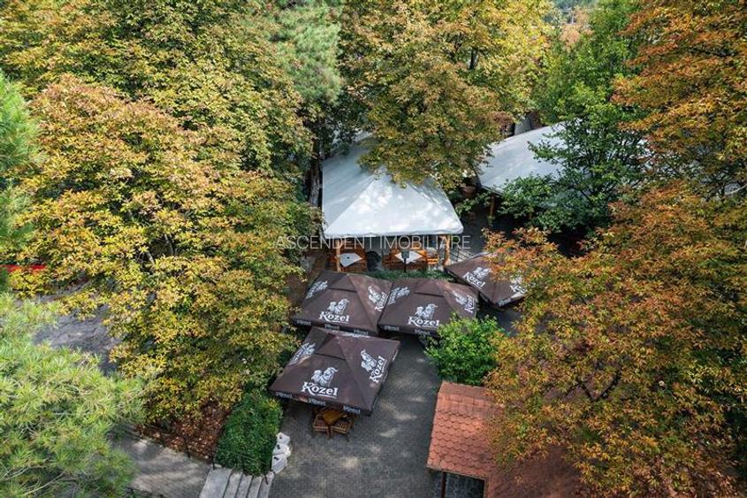 Complex Gastronomic:Afacere la cheie, Restaurant traditional secuiesc+terasa eve - 19