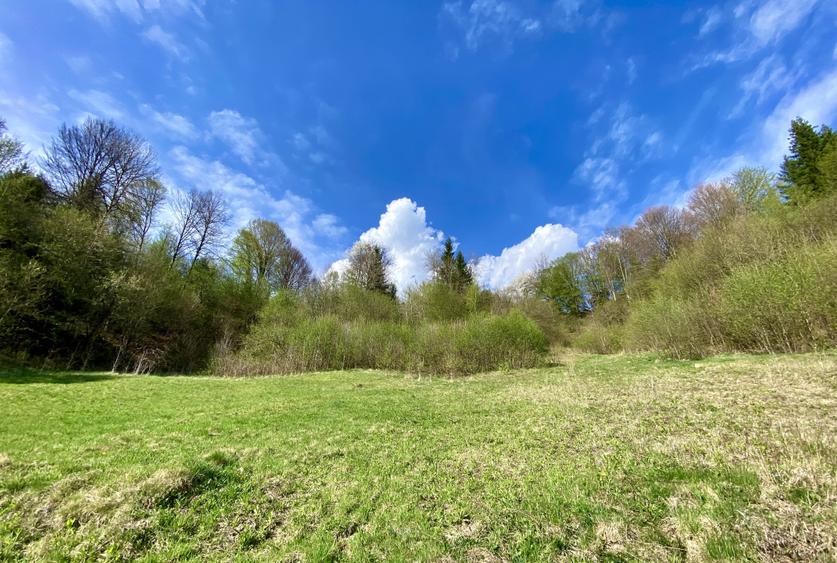 Teren panoramic însorit, utilități, panta mica si pădure, turism sau vacanță