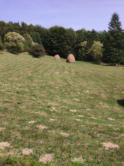 Teren intravilan situat in Traiteni,Valea Doftanei