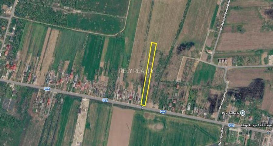 Teren intravilan Snagov / Tancabesti / 6.296 mp / comision 0% - 2