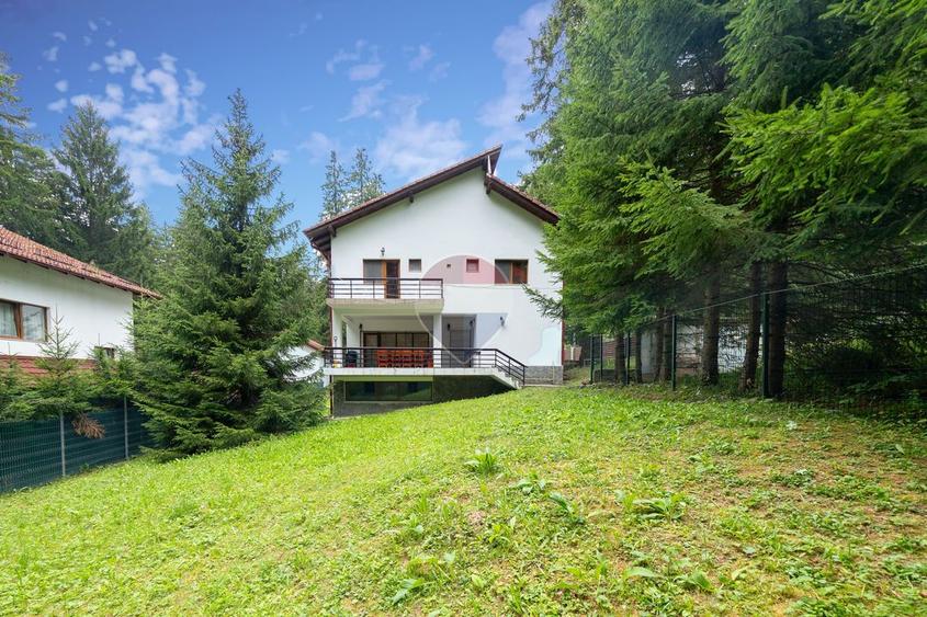 Casa 5 camere | viata la marginea padurii, intre brazi si liniste
