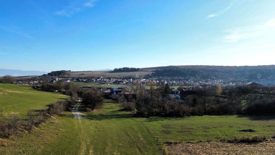 Teren extravilan 650mp Rusciori